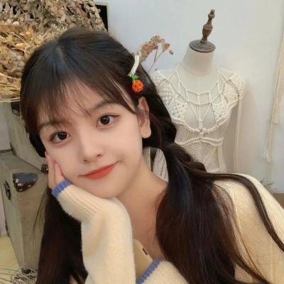 少战精英：爷爷的宝藏
